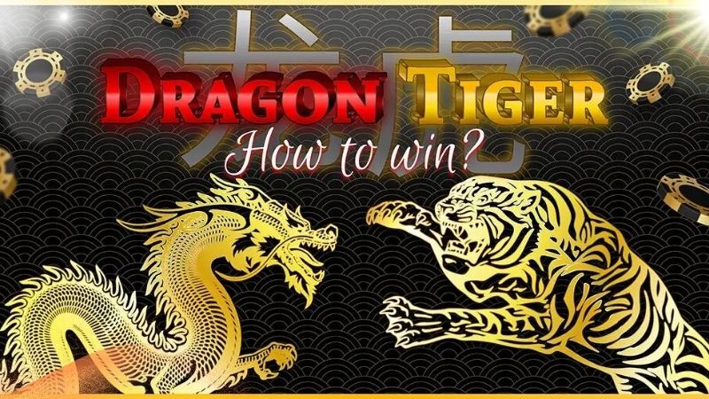 Tips and Tricks for playing Online Dragon Tiger