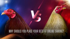 Why Should You Place Your Bets at Online Sabong